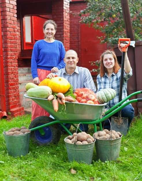 Использование анализа активности пользователей для улучшения взаимодействия
