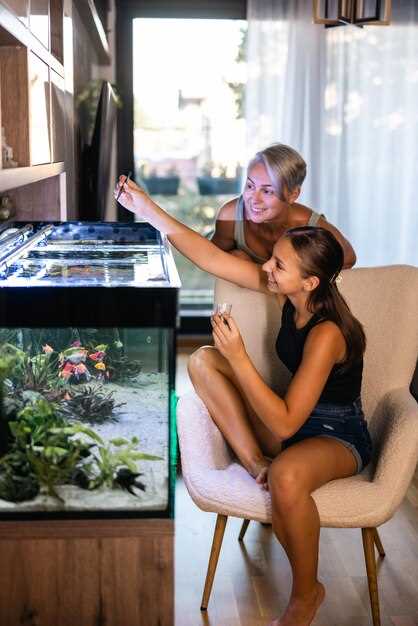 Технические основы и принцип работы