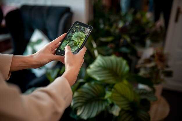 Как iPhone автоматически определяет освещение в окружающей среде