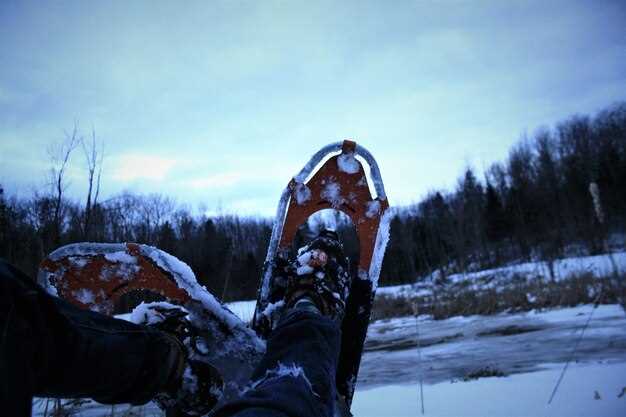 Практические советы по устранению ошибок запуска Frostpunk