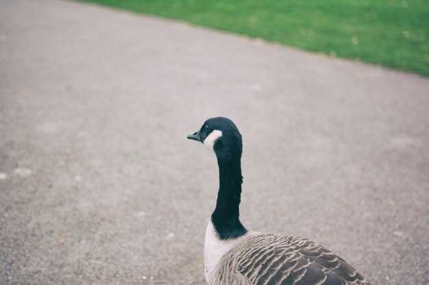 Удаление через диспетчер задач и процессы