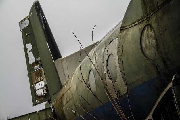 Особенности взаимодействия штурмовика с наземными войсками и танками противника