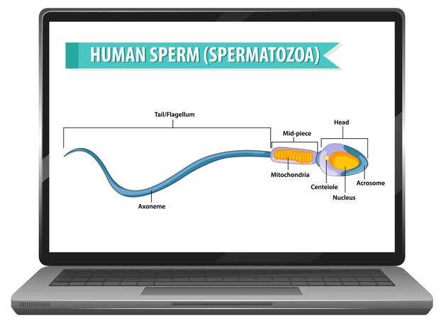 Подготовка к клонированию и настройка окружения