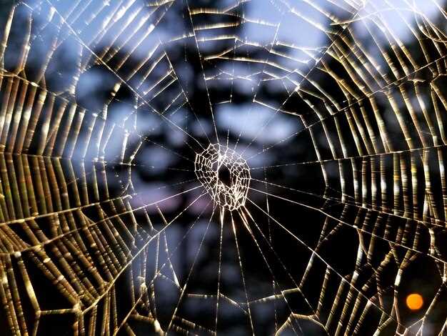 Выбор подходящего клея и расходных материалов