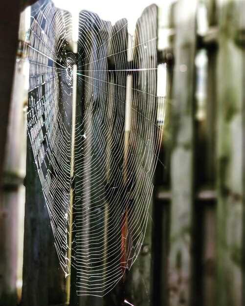 Технология изготовления паутины МЕТ: пошаговая инструкция для новичков