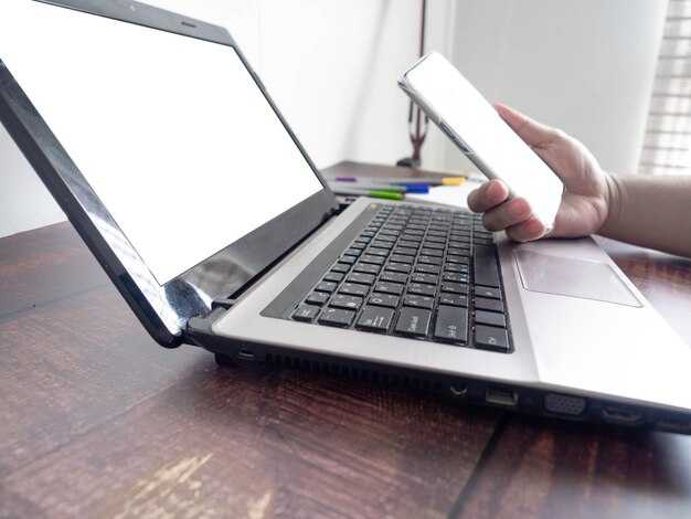 Выбор программного обеспечения для создания каталога