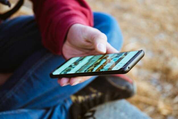 Обновление и резервное копирование данных карт