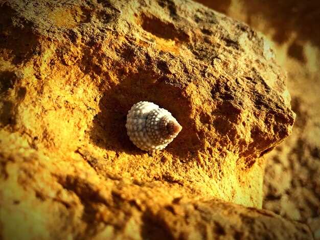 Материалы и состав: что находится внутри и на поверхности