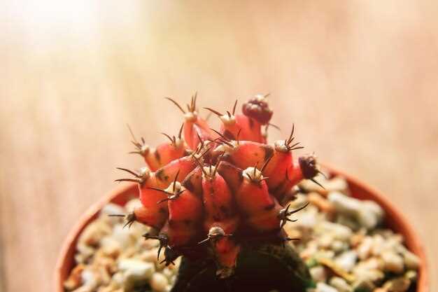 Кадры со съемочной площадки и инсайды от создателей