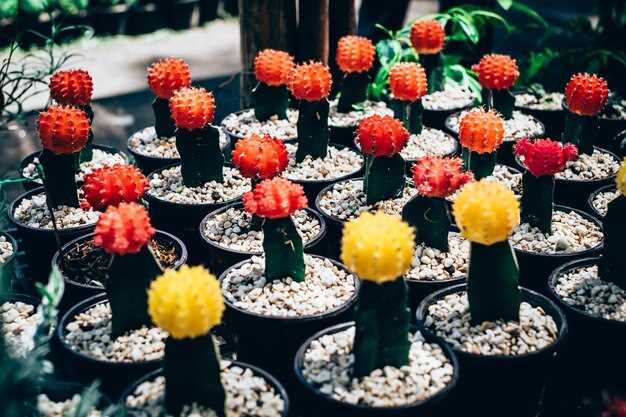 Особенности визуальных эффектов и съемочной техники 3 сезона