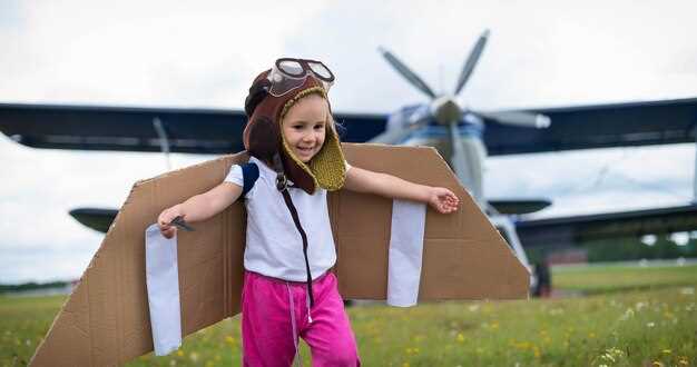 Обзор популярных авиационных симуляторов для новичков и опытных пилотов