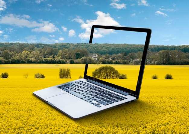 Лучшие программы для Windows и macOS