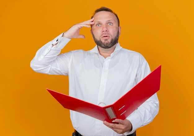 Обращение в техподдержку Мега.nz и подготовка информации о сбое