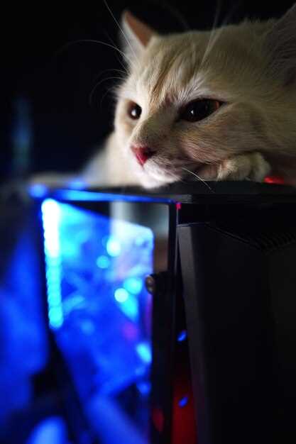 На что обращать внимание при выборе материнской платы