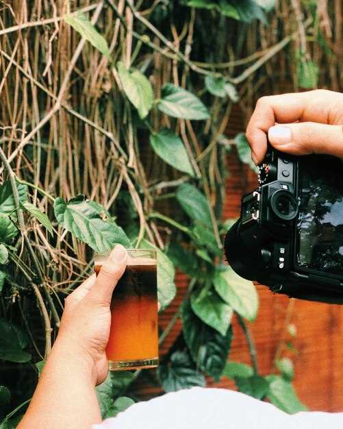 Плюсы и минусы встроенного стабилизатора