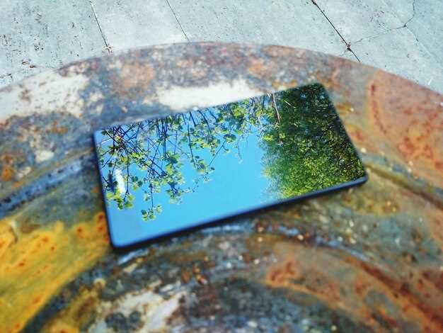 Камеры: основные модуль и их возможности