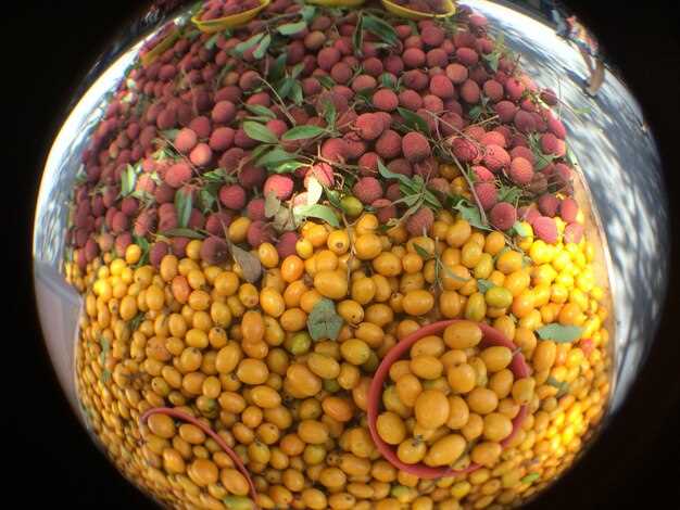 Создание автоматических зонтов и роботов для исследования труднодоступных территории