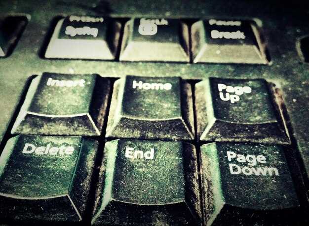 Подготовка и поиск нужных файлов: Работа с архивами и тематическими ресурсами