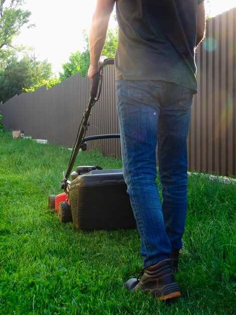 На какие параметры обращать внимание при покупке (мощность, ширина обработки, глубина обработки)