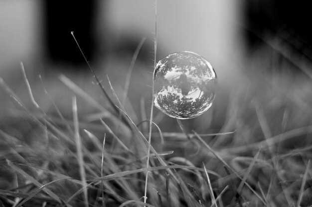 Различия между 4K, 8K и HD изображениями