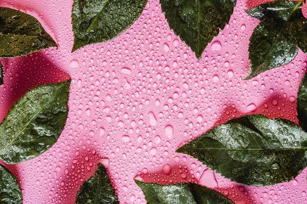 Подбор материалов: какие виды растений и водных элементов использовать