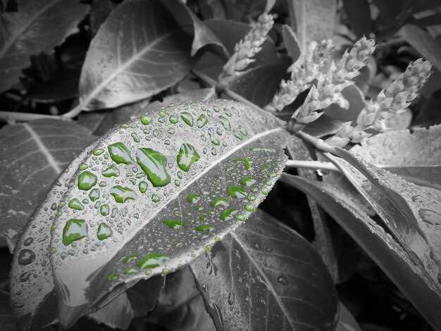 Создание зоны отдыха с природной атмосферой