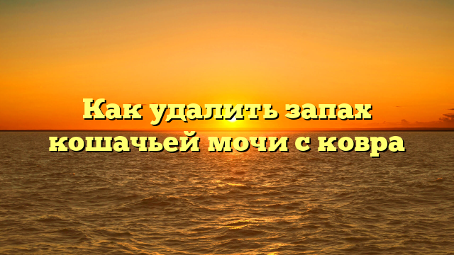 Как удалить запах кошачьей мочи с ковра